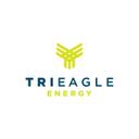 trieagle-energy logo