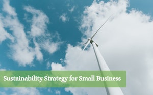 Sustainability Strategy for Your Small Business