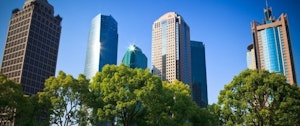 Choosing Electricity Providers in Houston, Texas