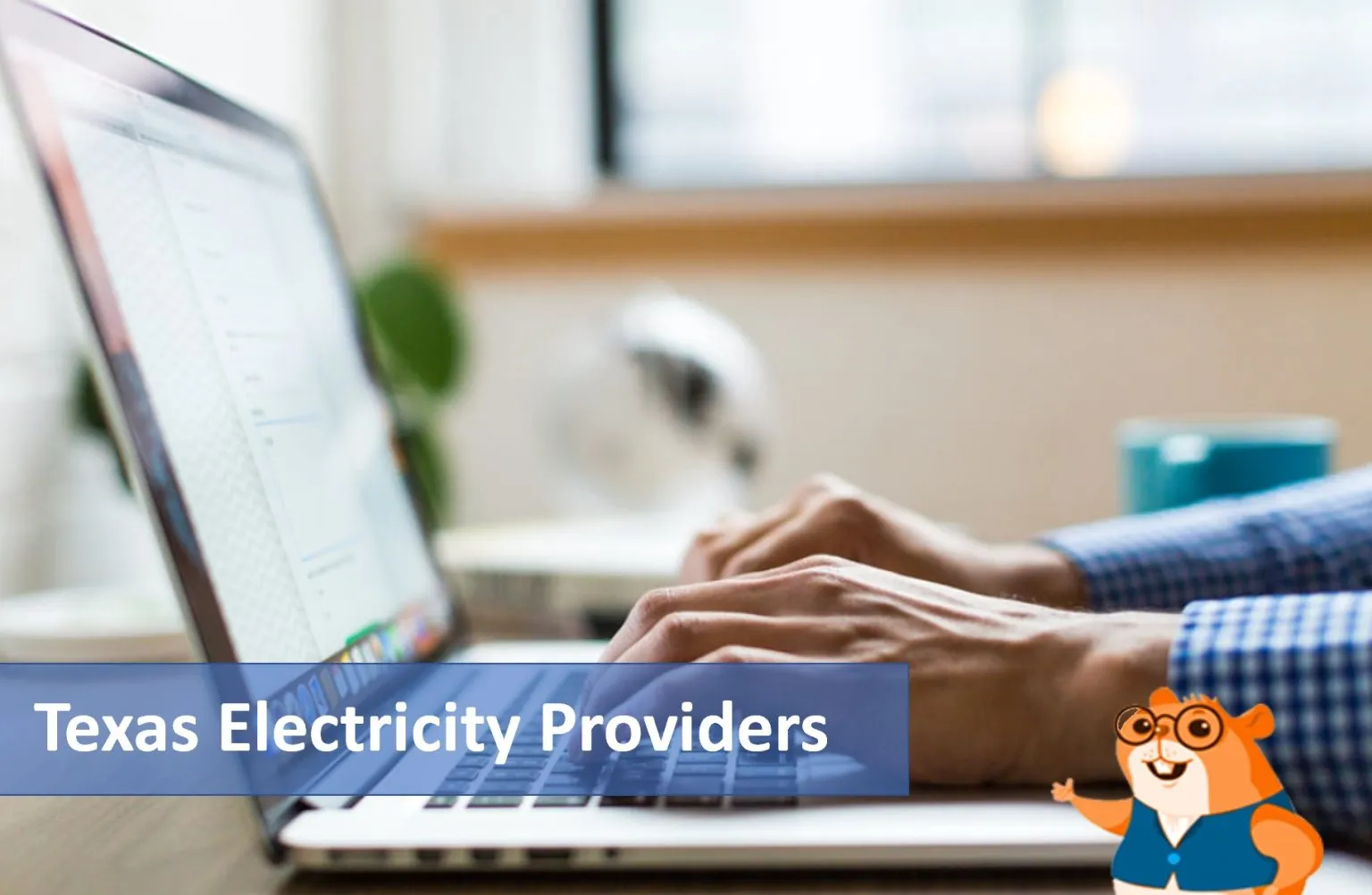 Texas Electricity Providers
