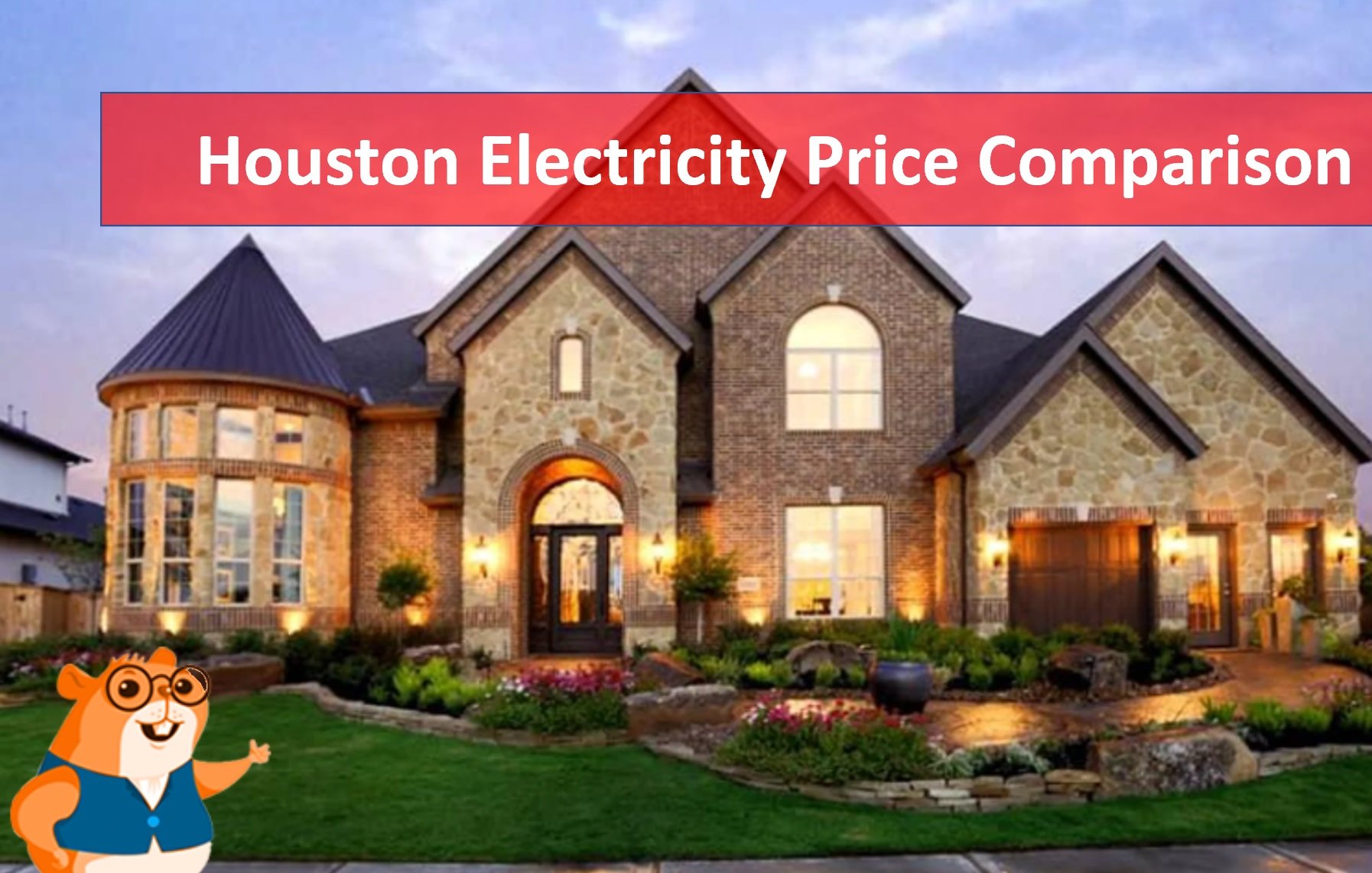 Houston Electricity Price Compariosn