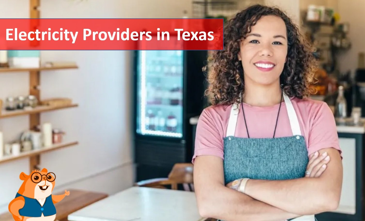 Electricity Providers in Texas