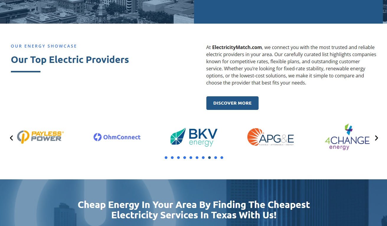 Electricity Providers in Texas